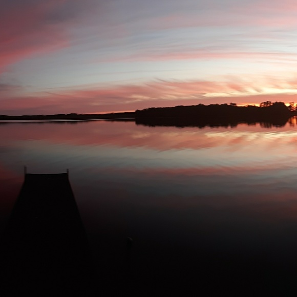 Meet your Posher, Aiden - Picture 1 of 1